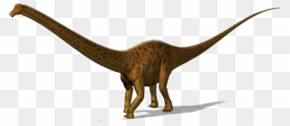Diplodocus Is A Plant Eater, He Has His Long Neck To - Diplodocus Dinosaur Png Clipart