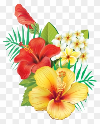 Tropical - Hibiscus Flowers Clipart