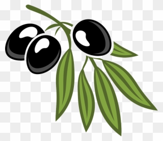 Leaf Cartoon Royalty Free Olives And Foliage - Cartoon Pictures Of Olives Clipart