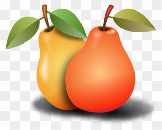 Pears 1920xx1920 Everyday Food, Pear Fruit, Fruits - Pear Clipart