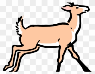 Buck Clipart Caribou - Cartoon Deer - Png Download