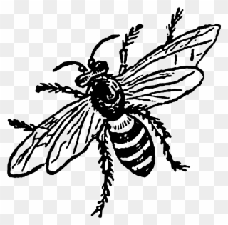 My Favorite Digital Insect Download Is The Second Bee - Batman In Action Drawing Clipart