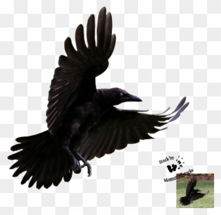 Raven Clipart Simple - Crow Flying - Png Download