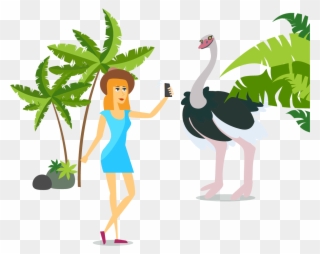 Exploratory Testing - Illustration Clipart