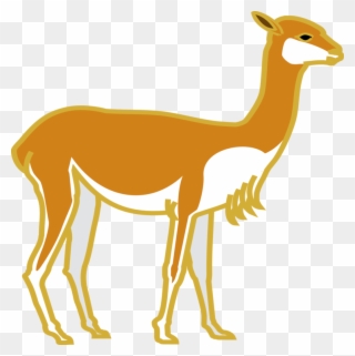 Deer Computer Icons Peru Mammal Drawing - Deer Clipart