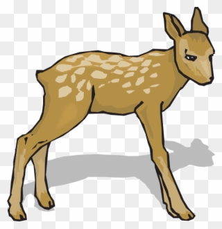 Fawn Clipart Png Transparent Png