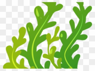 Seaweed Clipart Animated - Seaweed Clipart Clear Background - Png Download