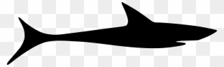 The Club Sharks Are In Need Of Some Upgraded Sails - Jpeg Clipart