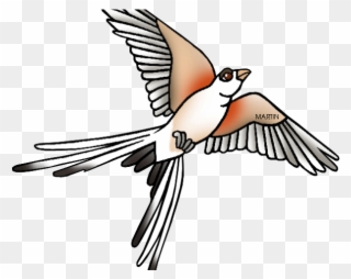 Kingfisher Clipart Clip Art - Scissor Tailed Flycatcher Clipart - Png Download