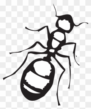Legs Clipart Ant - Ant Clip Art Black And White - Png Download