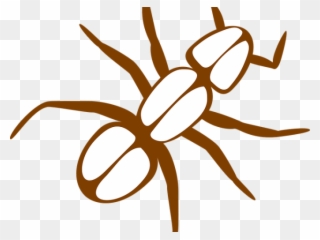 Legs Clipart Ant - Ant Clip Art - Png Download