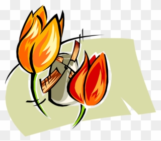 Vector Illustration Of Dutch Tulip Bulbous Plant Flowers Clipart