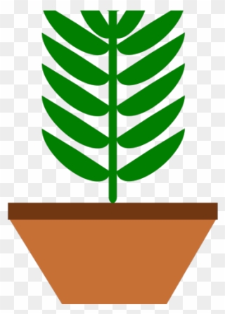 Pot Plant Clipart Baby - Clipart Plante Verte - Png Download
