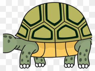 Turtoise Clipart Desert Tortoise - Tortoise Png Transparent Png