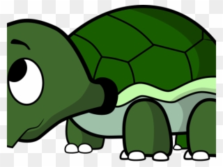 Turtoise Clipart Pawikan - Baby Turtle Ipod Touch 6 Case - Png Download