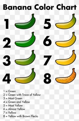 120 Chart Cliparts - Banana Colors - Png Download