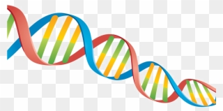 Dna Png Transparent - Dna Png Clipart