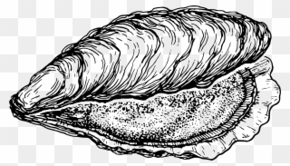Big Image - Clipart Oyster - Png Download