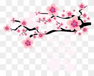 Ume Blossom Clipart Apricot Blossom - Japanese Cherry Blossom Art Png Transparent Png