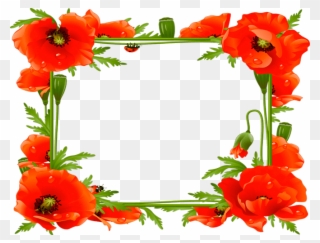 Download Poppy Frame Clipart Common Poppy Picture Frames - Poppies Frame - Png Download