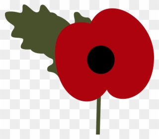 Poppy Drawing Photo - Remembrance Poppy Clip Art - Png Download