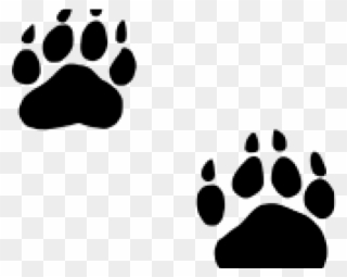 Grizzly Clipart Bobcat Footprint - Black Bear Paw Png Transparent Png
