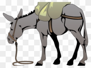 Donkey Clipart Bible - Mule Clipart For Donkey - Png Download