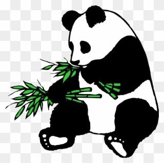 Panda - - Panda Eating Bamboo Clipart - Png Download
