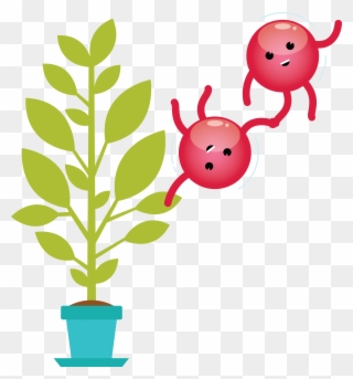 Download Oxygen Molecule And Plant Clipart