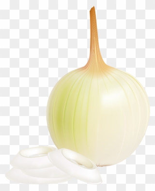 View Full Size - Garlic Clipart