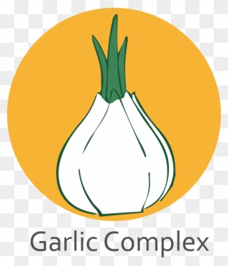 Garlic Complex - Garlic Clipart