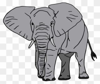 Jokes For Kids With Zoo Animals Educational Children - Cartoon Big Elephant Clipart