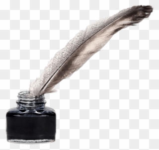 Feather Quill Transparent Png Stickpng And Ink - Ink And Feather Pen Clipart