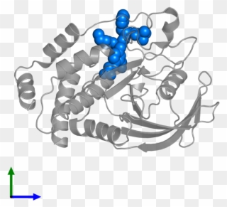<div Class='caption-body'>pdb Entry 1jf7 Contains 1 - Illustration Clipart