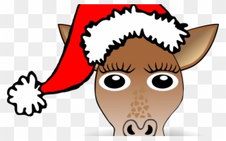 Free Santa Cartoon Images, Download Free Clip Art, - Bonnet De Noel Dessin - Png Download