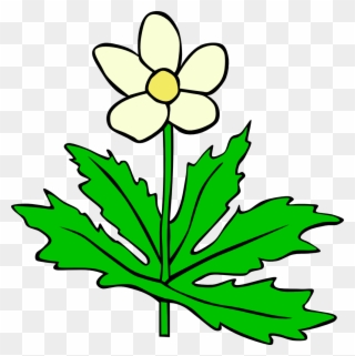 Plant With Flower Clipart - Png Download
