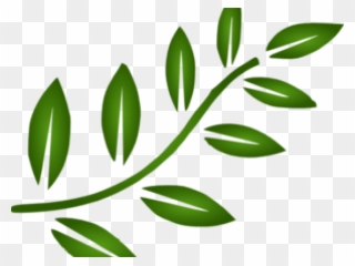 Branch Leaves Cliparts - Leaves Branch Clipart Black And White - Png Download