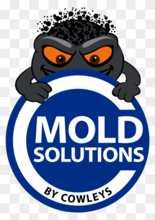Mold Removal Contractor In Monmouth County, Nj - Mold Solutions By Cowleys Clipart