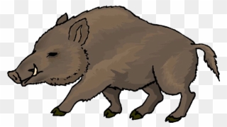 Png Freeuse Wild Clip Art Others - Boar Clipart Transparent Png