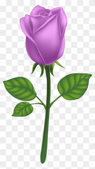 Purple Long Stem Rose Png Clipart