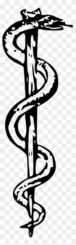 Rod Of Asclepius Http - Crash Course In Healthcare Clipart