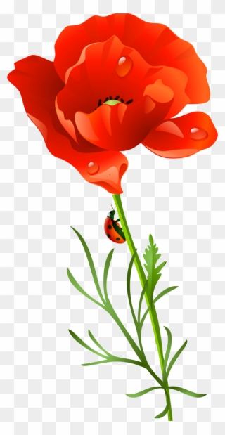 手机ppt剪贴画 剪贴画 - 罂粟花 - Imagine This Red Flowers Image Snappet Charm Clipart