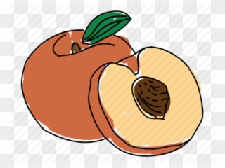 Peach Clipart Peach Pit - Drawn Peach - Png Download