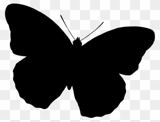 Butterfly Silhouette Drawing Black And White Free Commercial - Clipart ...