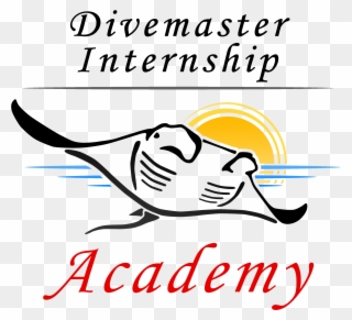 Padi Divemaster Internships - Divemaster Clipart