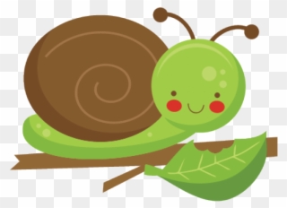 Original - Clipart Snail On A Leaf - Png Download