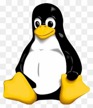 Penguin Image - Linux Logo Png Clipart