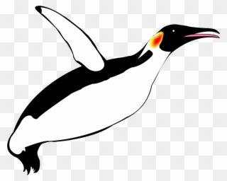 Emperor Penguin Flightless Bird Razorbills - Flying Penguin Png Clipart