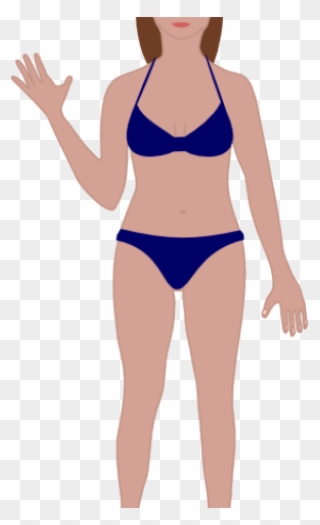 Body Clipart Swimsuit - Erogenous Zones Chart Female - Png Download