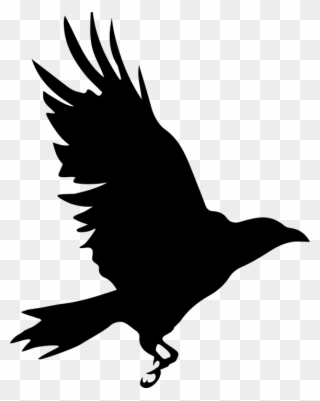 Raven Clipart Raptor Bird - Cuervo Silueta - Png Download